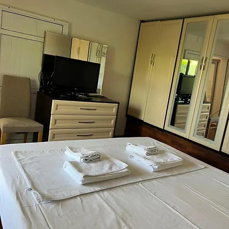 Apartman Ajni's House *